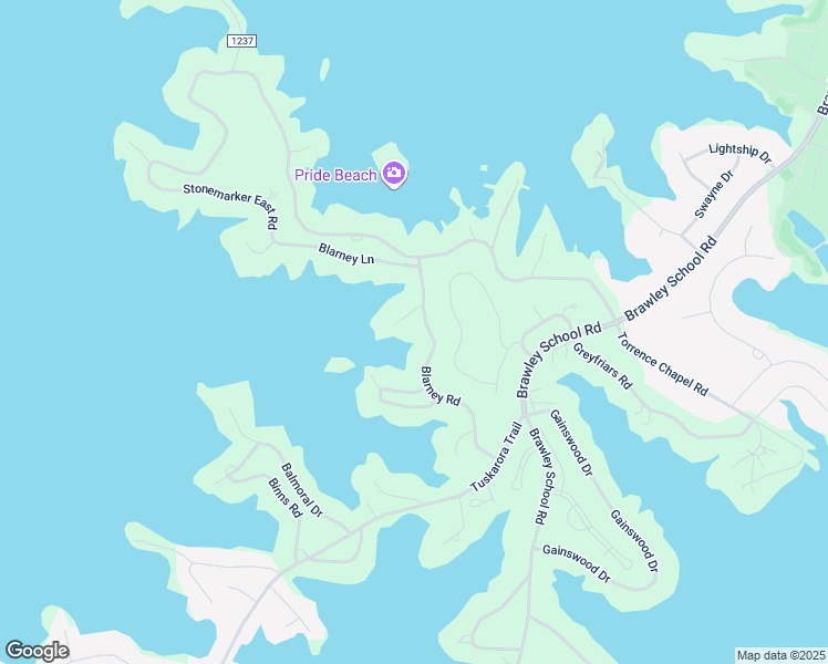 map of restaurants, bars, coffee shops, grocery stores, and more near 158 Blarney Road in Mooresville