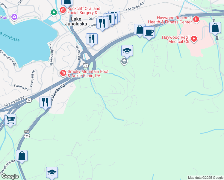 map of restaurants, bars, coffee shops, grocery stores, and more near Commons Way in Waynesville