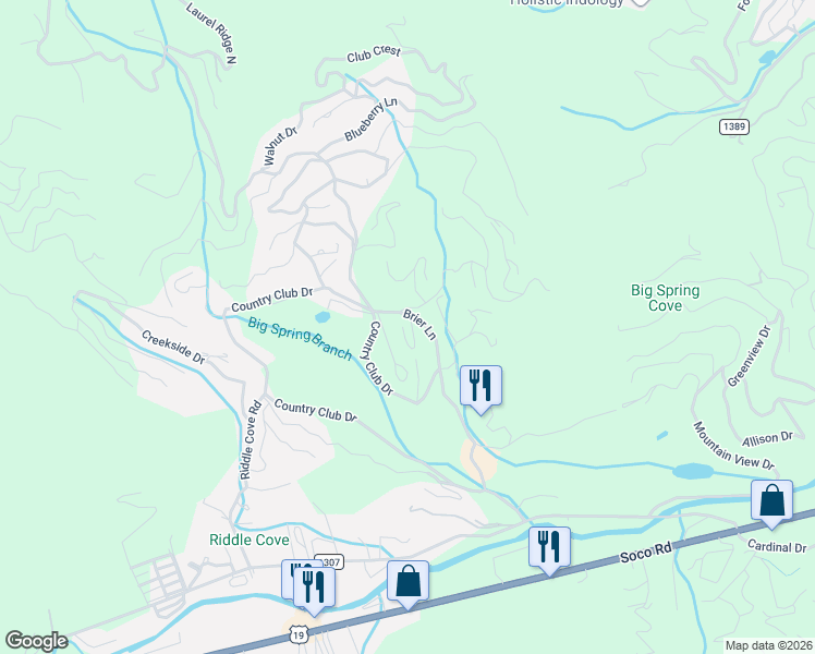 map of restaurants, bars, coffee shops, grocery stores, and more near 215 Brier Lane in Maggie Valley