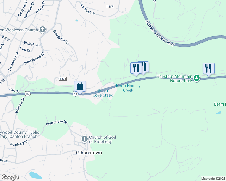 map of restaurants, bars, coffee shops, grocery stores, and more near 2951 Asheville Highway in Canton