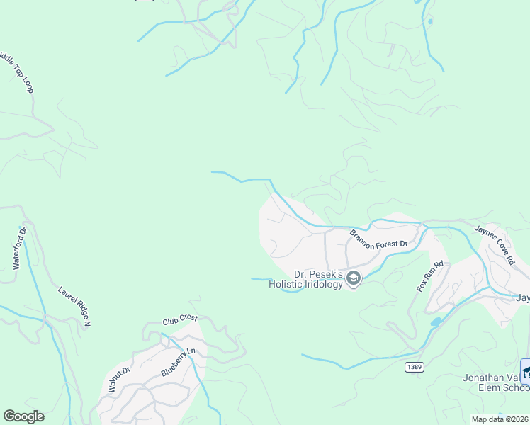 map of restaurants, bars, coffee shops, grocery stores, and more near 100 Loafer Lane in Waynesville