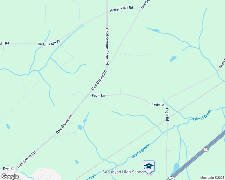 map of restaurants, bars, coffee shops, grocery stores, and more near 156 Fagin Lane in Madisonville
