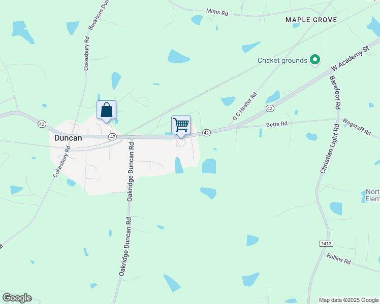 map of restaurants, bars, coffee shops, grocery stores, and more near 50 Lonnie Betts Drive in Holly Springs