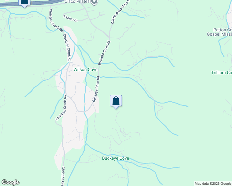 map of restaurants, bars, coffee shops, grocery stores, and more near 99999 Oak Ridge Road in Swannanoa