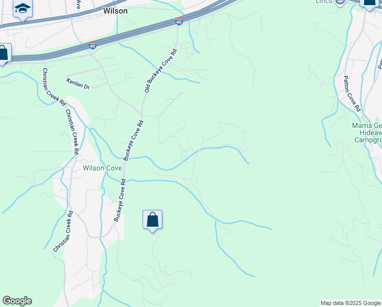 map of restaurants, bars, coffee shops, grocery stores, and more near 225 Wilson Cove Road in Swannanoa