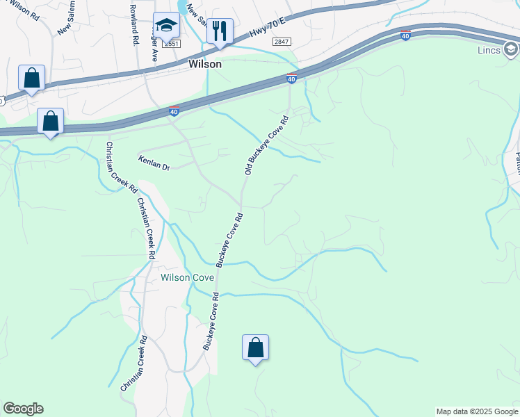 map of restaurants, bars, coffee shops, grocery stores, and more near 99999 Wilson Avenue Extension in Swannanoa