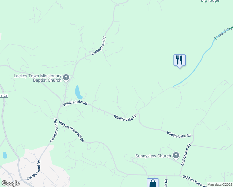 map of restaurants, bars, coffee shops, grocery stores, and more near 110 Conner Ridge Drive in Old Fort