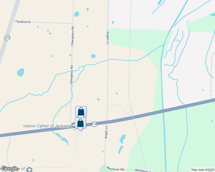 map of restaurants, bars, coffee shops, grocery stores, and more near 289 Anglin Lane in Jackson