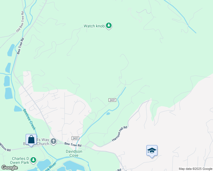 map of restaurants, bars, coffee shops, grocery stores, and more near 164 Riddle Road in Swannanoa