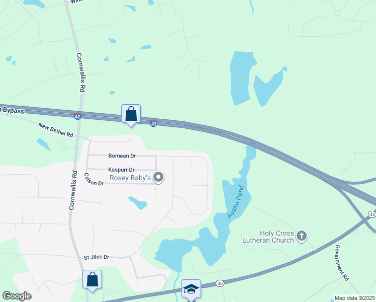 map of restaurants, bars, coffee shops, grocery stores, and more near 395 Bornean Drive in Clayton