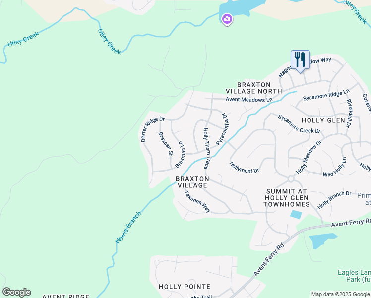 map of restaurants, bars, coffee shops, grocery stores, and more near 225 Braxman Lane in Holly Springs
