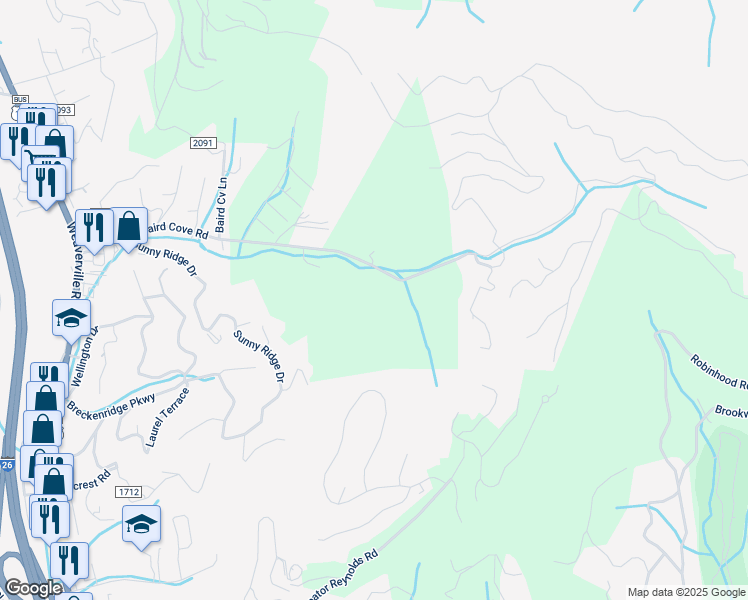 map of restaurants, bars, coffee shops, grocery stores, and more near 347 Baird Cove Road in Asheville