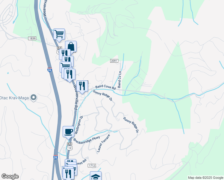 map of restaurants, bars, coffee shops, grocery stores, and more near 251 Baird Cove Road in Asheville