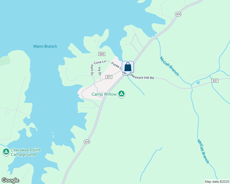 2428 Tennessee 304, Ten Mile TN Walk Score