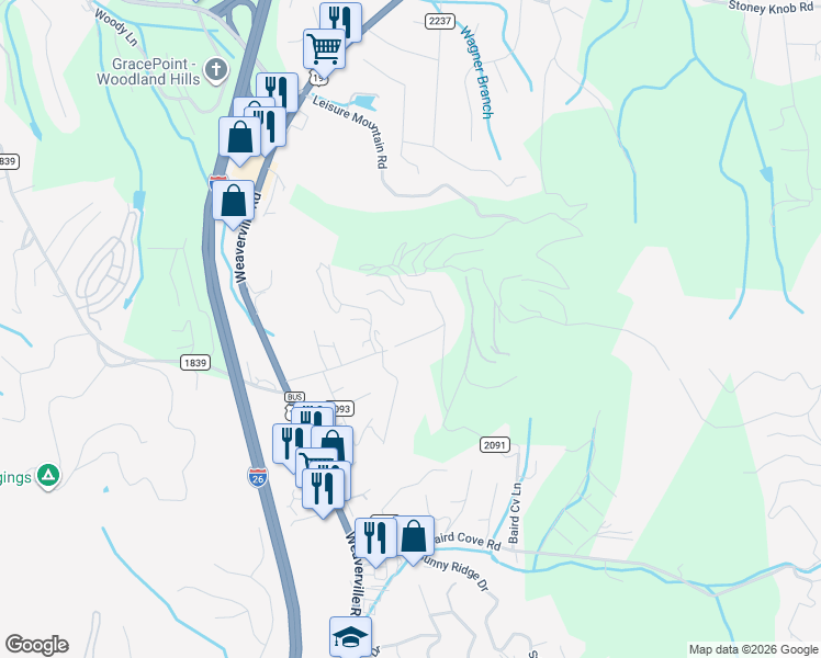 map of restaurants, bars, coffee shops, grocery stores, and more near 224 Old Home Road in Asheville