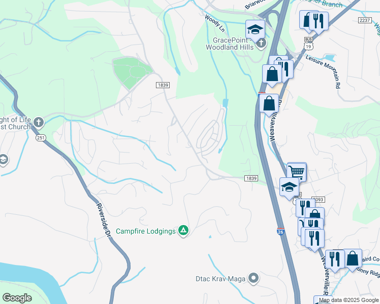 map of restaurants, bars, coffee shops, grocery stores, and more near 206 Old Marshall Highway in Asheville