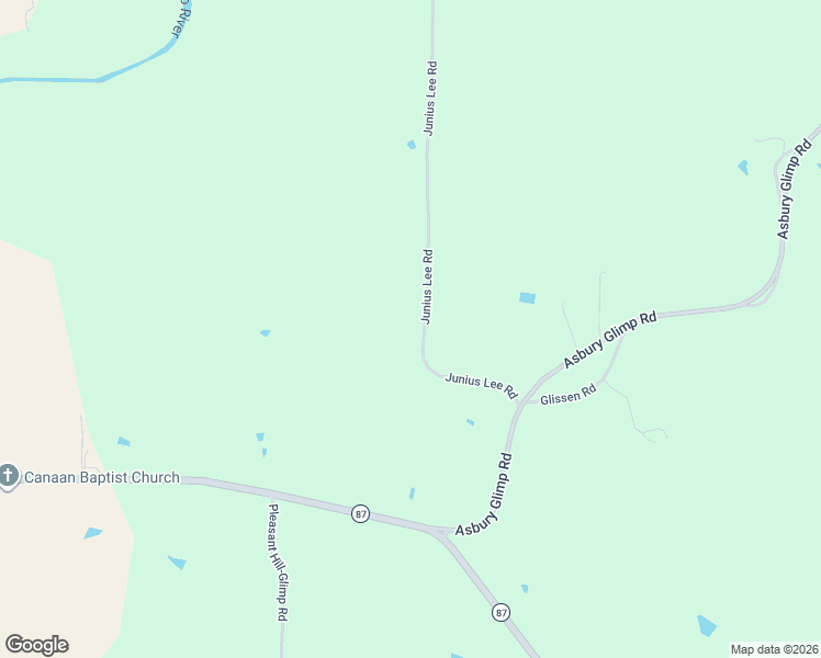 map of restaurants, bars, coffee shops, grocery stores, and more near 345 Junius Lee Road in Ripley