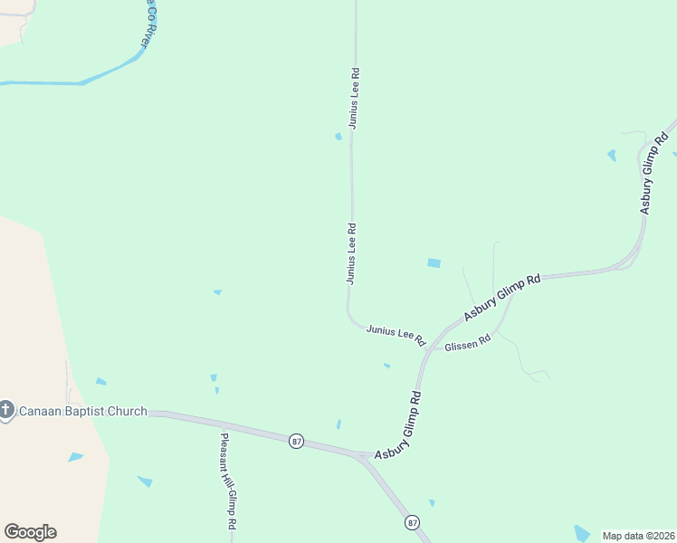 map of restaurants, bars, coffee shops, grocery stores, and more near 345 Junius Lee Road in Ripley