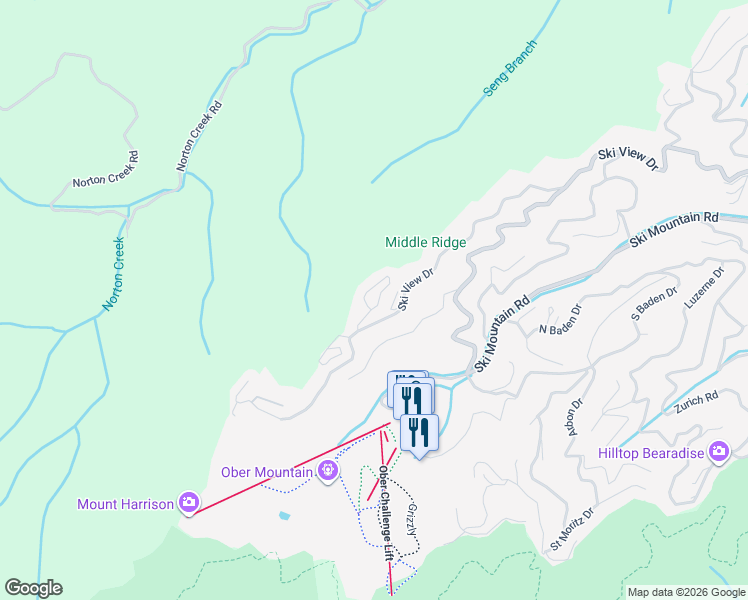 map of restaurants, bars, coffee shops, grocery stores, and more near 1207 Sky High Way in Gatlinburg