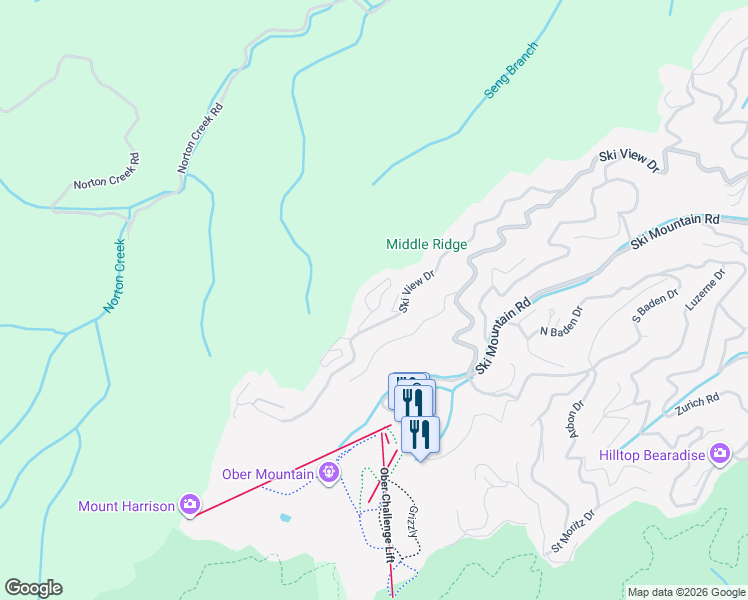 map of restaurants, bars, coffee shops, grocery stores, and more near 1207 Sky High Way in Gatlinburg