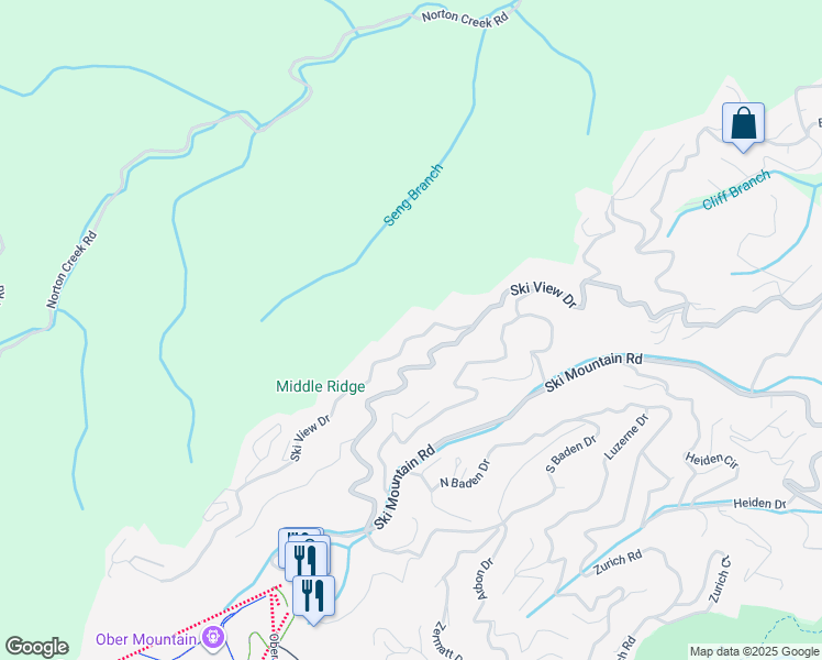 map of restaurants, bars, coffee shops, grocery stores, and more near 1130 Ski View Drive in Gatlinburg