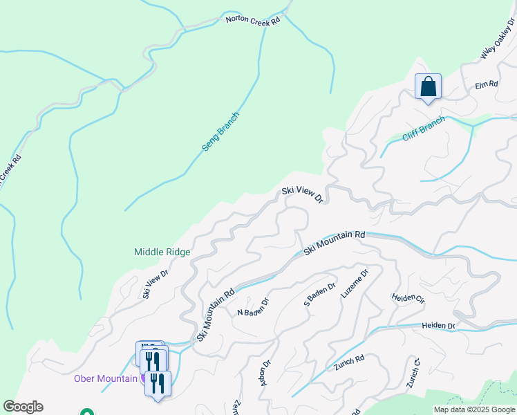 map of restaurants, bars, coffee shops, grocery stores, and more near 1081 Ski View Drive in Gatlinburg