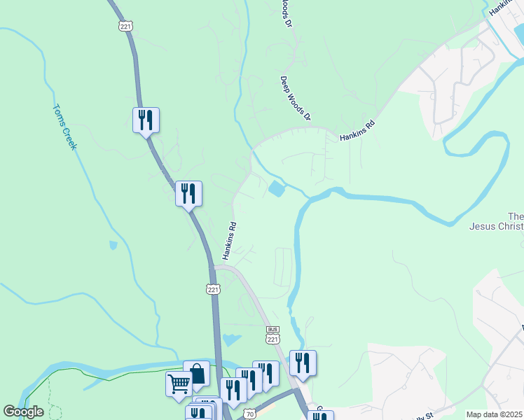 map of restaurants, bars, coffee shops, grocery stores, and more near 348 Hankins Road in Marion