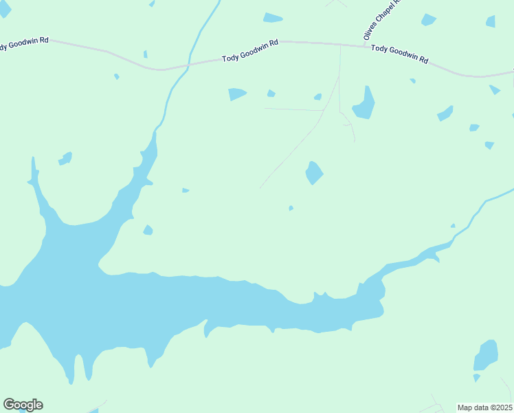 map of restaurants, bars, coffee shops, grocery stores, and more near 658 Earl Goodwin Road in Apex