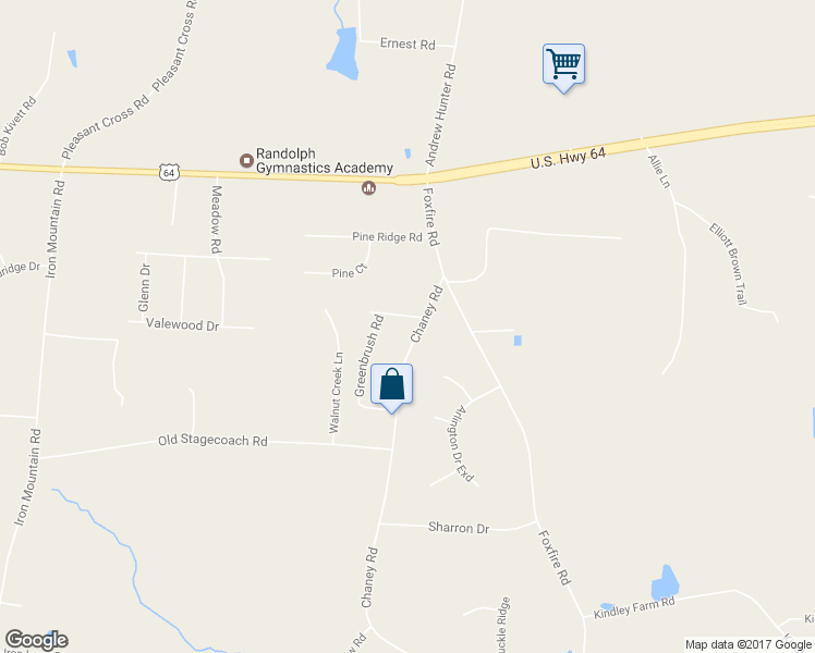 map of restaurants, bars, coffee shops, grocery stores, and more near 318 Chaney Road in Asheboro