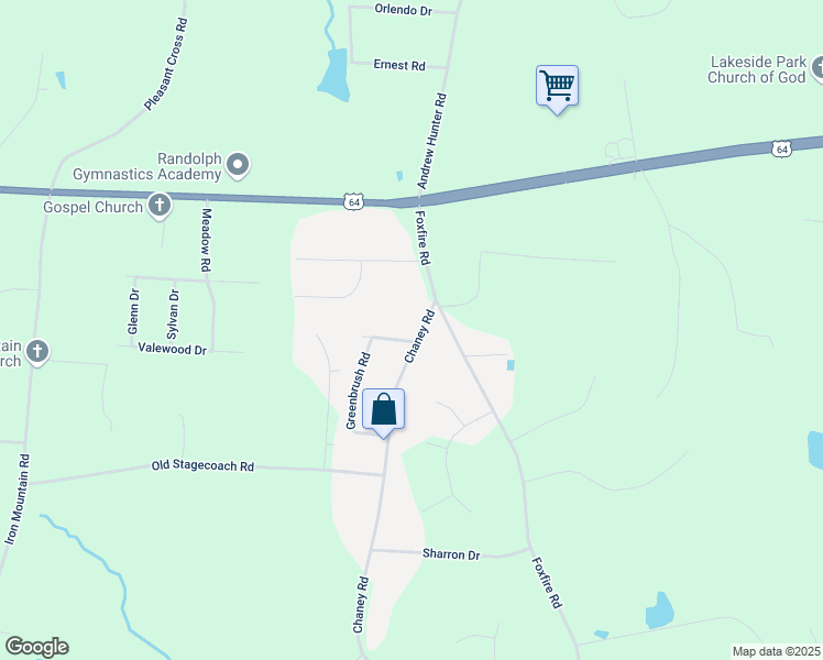 map of restaurants, bars, coffee shops, grocery stores, and more near 318 Chaney Road in Asheboro