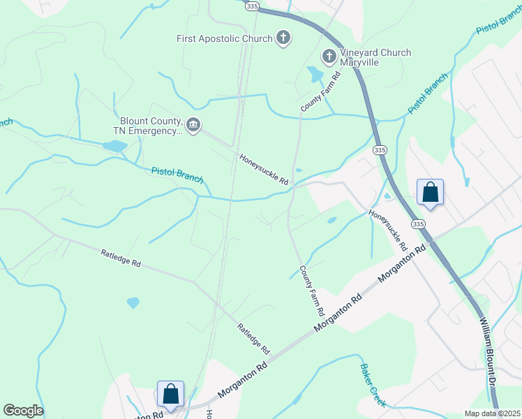 142 Terry Way, Friendsville TN Walk Score