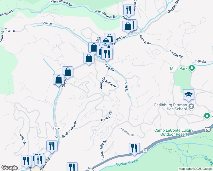map of restaurants, bars, coffee shops, grocery stores, and more near 524 Bettis Drive in Gatlinburg