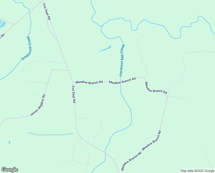 map of restaurants, bars, coffee shops, grocery stores, and more near 1308 Meadow Branch Road in Williamston