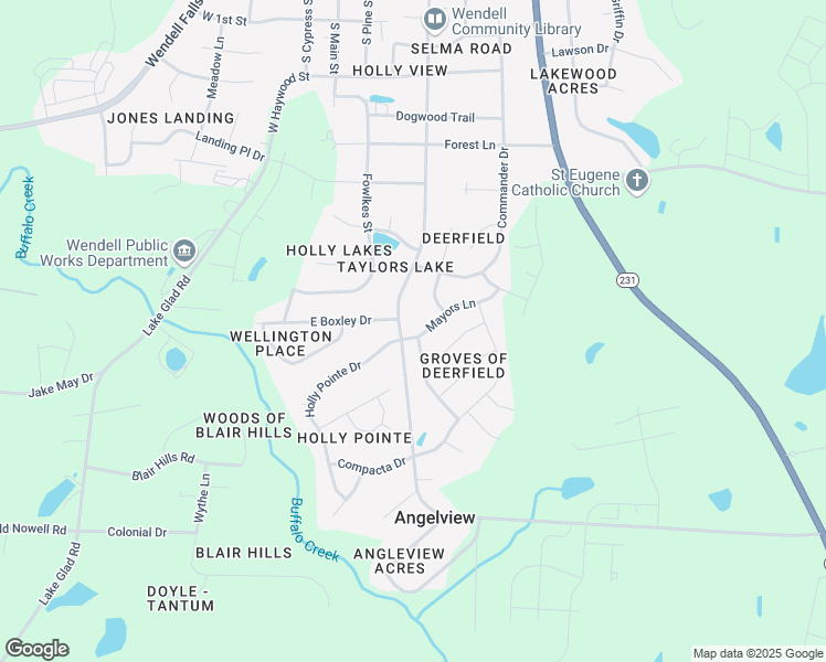 map of restaurants, bars, coffee shops, grocery stores, and more near 207 Mayors Lane in Wendell