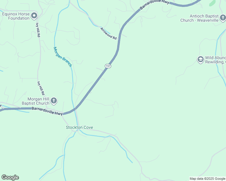 map of restaurants, bars, coffee shops, grocery stores, and more near 705 Barnardsville Highway in Weaverville