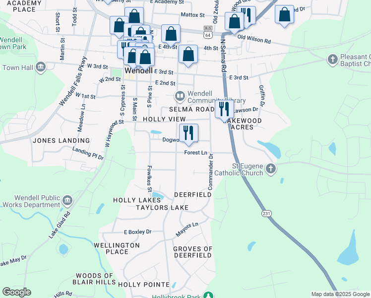 map of restaurants, bars, coffee shops, grocery stores, and more near 219 Forest Lane in Wendell