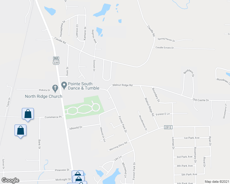 map of restaurants, bars, coffee shops, grocery stores, and more near 2934 Forest Park Drive in Randleman