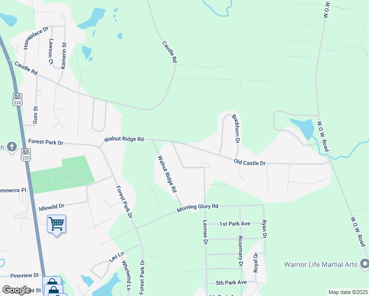 map of restaurants, bars, coffee shops, grocery stores, and more near 524 Old Castle Drive in Randleman