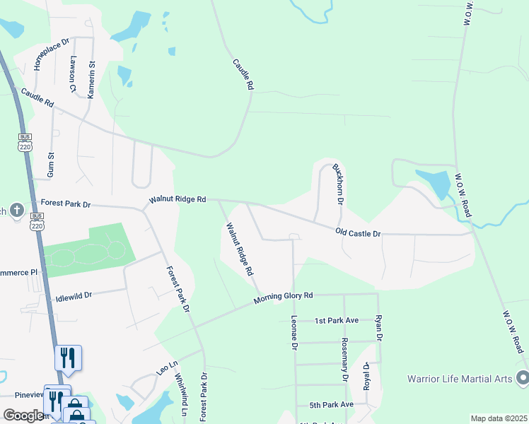 map of restaurants, bars, coffee shops, grocery stores, and more near 524 Old Castle Drive in Randleman