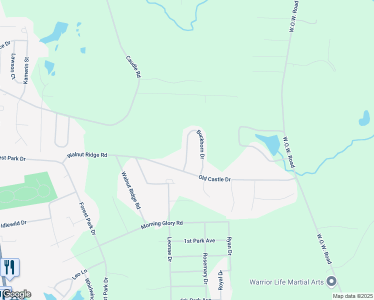 map of restaurants, bars, coffee shops, grocery stores, and more near 2637 Buckhorn Drive in Randleman