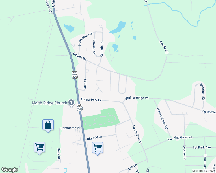 map of restaurants, bars, coffee shops, grocery stores, and more near 2837 Sonnett Drive in Randleman