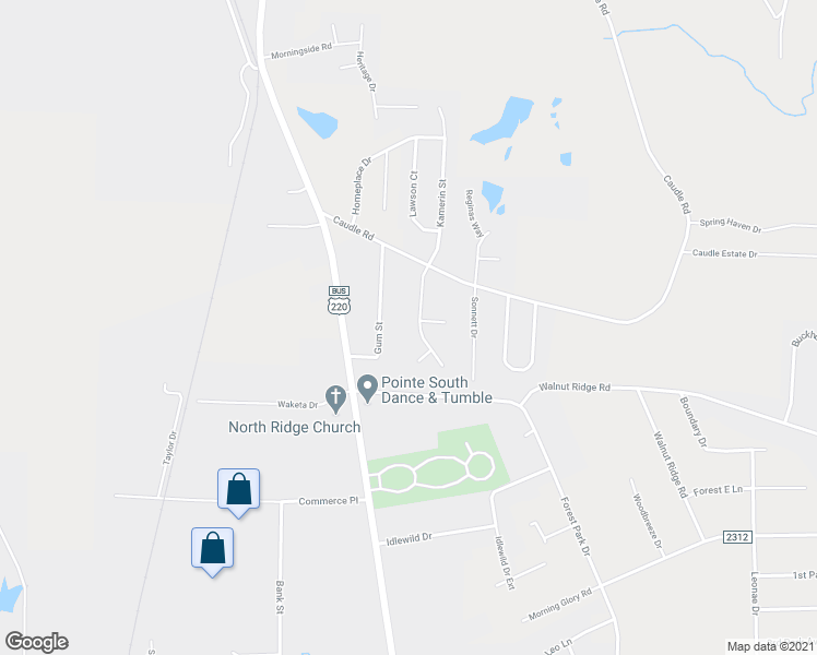 map of restaurants, bars, coffee shops, grocery stores, and more near 2859 Kamerin St in Randleman