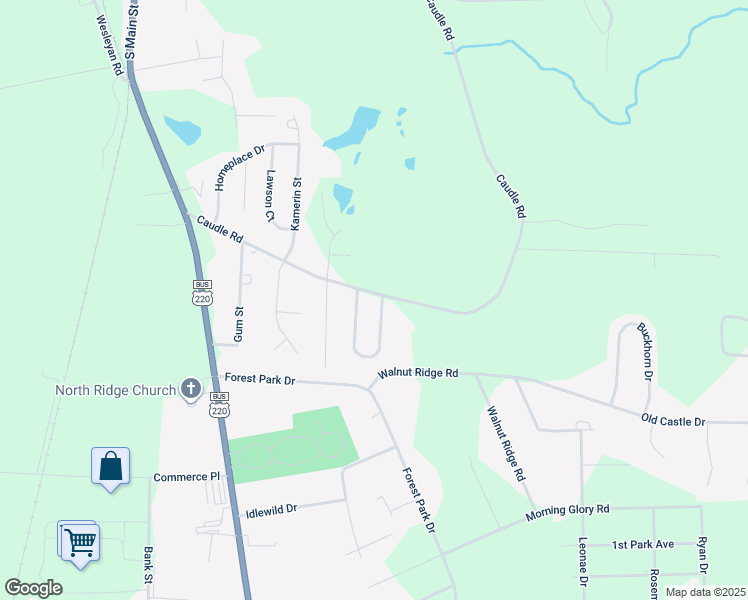 map of restaurants, bars, coffee shops, grocery stores, and more near 2897 Horseshoe Bend Road in Randleman