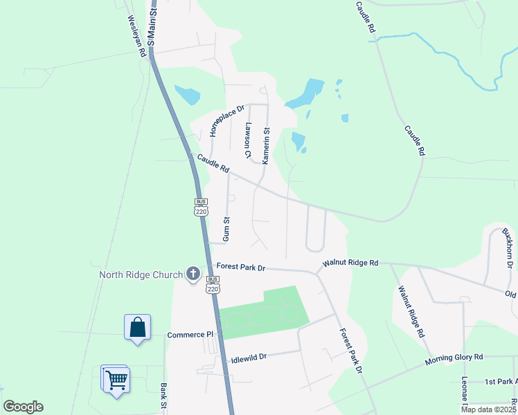 map of restaurants, bars, coffee shops, grocery stores, and more near 2884 Kamerin Street in Randleman