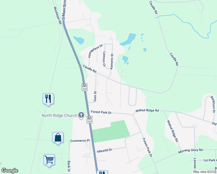 map of restaurants, bars, coffee shops, grocery stores, and more near 2884 Kamerin Street in Randleman