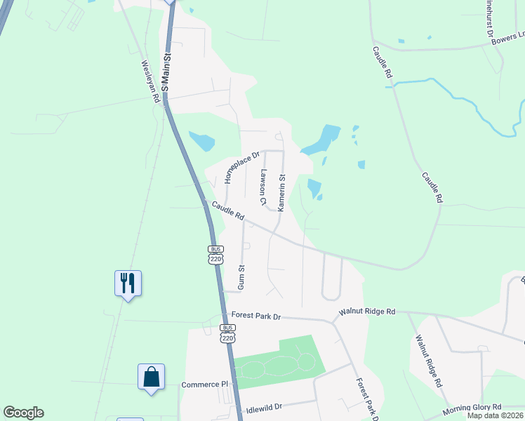 map of restaurants, bars, coffee shops, grocery stores, and more near 2947 Lawson Ct in Randleman