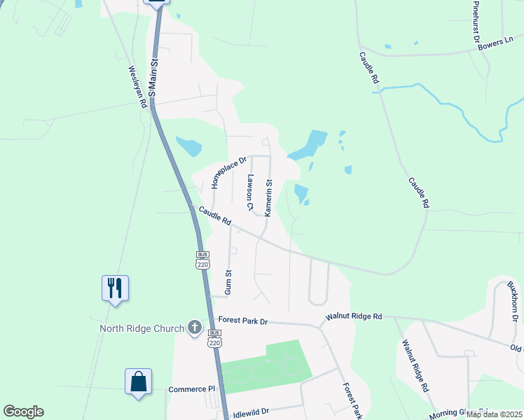map of restaurants, bars, coffee shops, grocery stores, and more near 2957 Kamerin Street in Randleman