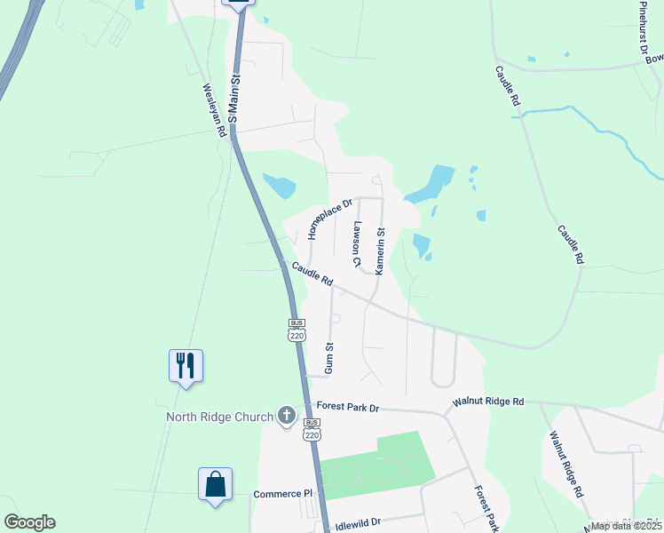 map of restaurants, bars, coffee shops, grocery stores, and more near 2900 Mimosa Court in Randleman