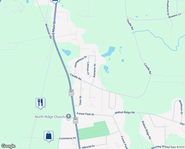 map of restaurants, bars, coffee shops, grocery stores, and more near 2957 Kamerin Street in Randleman