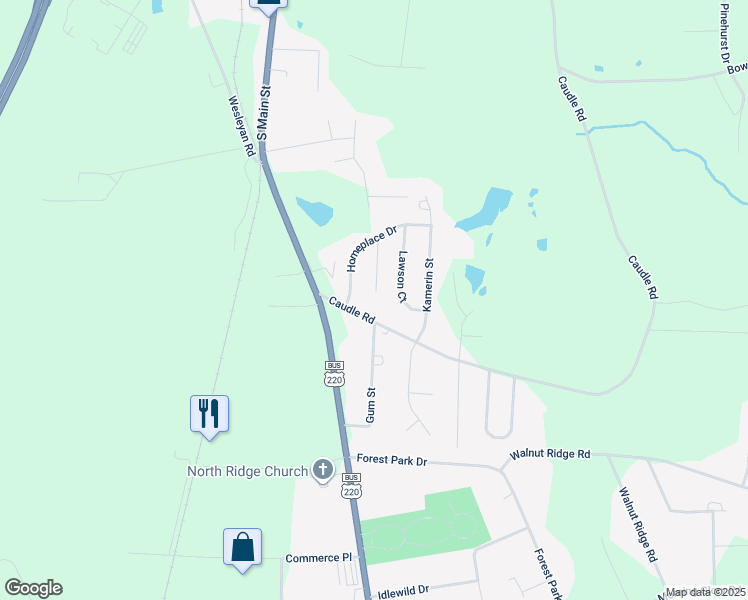 map of restaurants, bars, coffee shops, grocery stores, and more near 2900 Mimosa Court in Randleman